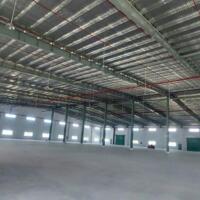 [LA62B1T-9] CHO THUÊ KHO XƯỞNG 5000M2 THÀNH PHỐ TÂN AN, TỈNH LONG AN