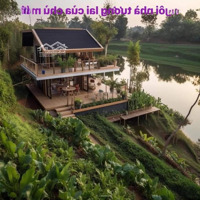 Đất Biển Bình Châu Hồ Tràm 1000M2/1.2Tỷ Sổ Hồng Riêng