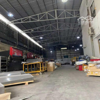 Cho Thuê Nhà Xưởng 1200M2 Hóc Môn