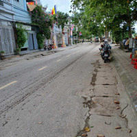 Lực Canh.xuân Canh Đông Anh Lô Đất Đẹp Lung Linh