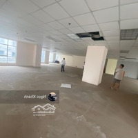 Siêu Phẩm Cho Thuê Nhà Phố Lạc Long Quân 300M2, Mặt Tiền 30M, Giá Bán 40 Triệuiệu Kinh Doanh Mọi Mô Hình