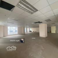 Siêu Phẩm Cho Thuê Nhà Phố Lạc Long Quân 300M2, Mặt Tiền 30M, Giá Bán 40 Triệuiệu Kinh Doanh Mọi Mô Hình