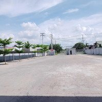 Cho Thuê Xưởng 9000M2 Chính Chủ