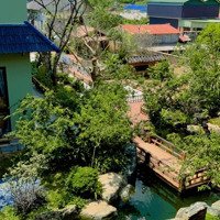 Bán Homestay Mộc Châu, Sơn La - Mới Hoàn Thiện Xong Rất Đẹp Xịn Xò, Khai Thác Kd Luôn Giá Bán 20 Tỷ