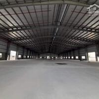 Cho thuê xưởng 4 xưởng mỗi xưởng 4.600m2 tại Cẩm Giàng, Hải Dương