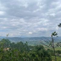 Bán Đất View Tượng Phật Thôn 6 Gia Lâm