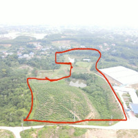 Cần Bán 3,2Ha Đất Tc, Đất Cln, Đất Rsx Có Sẵn Vườn Cây Ao Cá Tại Minh Đức, Phổ Yên, Thái Nguyên