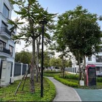 Chính Chủ Bán Căn Nhà Thô Khu St5 Kđt Gamuda Gardens, Phường Trần Phú, Quận Hoàng Mai, Tp Hà Nội