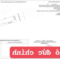 Chính Chủ Bán 2 Lô Mặt Tiền Đường Phó Đức Chính, Sơn Trà, Vị Trí Kinh Doanh Thuận Lợi