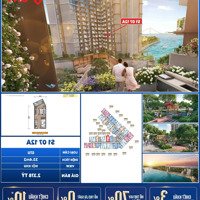 Căn Studio Phiên Bản Giới Hạn Tại Dự Án Symphony Residence, Giá Chỉ 2,378 Tỷ Có Một Không Hai