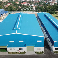 Cho Thuê Xưởng 10.000M2, Đất 20.000M2 P. Tân Hiệp, Tân Uyên, Bd Điện Lớn, Gần Kcn Nam Tân Uyên