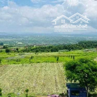 Lô Đất Hơn 1000M2 Sẵn Thổ Cư View Đẹp Giá Tốt Tại Nam Hà