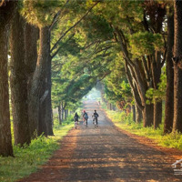 Đầu Tư Sinh Lời - Bán Gấp Lô Đất Tại Khu Dân Có Đường Liên Xã Trước Mặt, Sắp Mở Thành Đường 30M