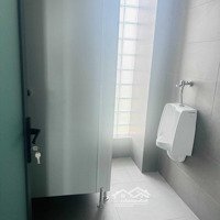 Tòa Nhà Đường Cộng Hòa 8X20M Hầm 5 Lầu Cho Thuê