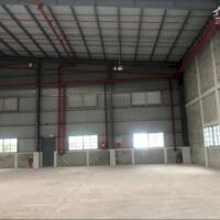 Cho Thuê 600m – 2600m2 Kho Mới Thuận An Bình Dương Có PCCC Giấy Tờ Đầy Đủ