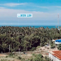 Cần Bán 533M2 Đường Nguyễn Tấn Định, Hàm Tiến Cạnh Sân Bay Phan Thiết Giá Tốt