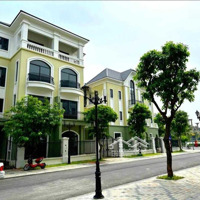 Cần Bán Gấp Song Lập San Hô 120M2 - Giá Shock, View Hồ Tạo Sóng Đẹp Nhất Ocean Park 2