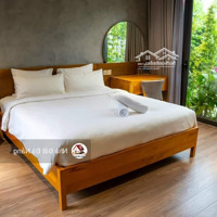 Villa Nam Việt Á- Thiết Kế 10 Phòng- Gần Sông Gần Biển- Dòng Tiền 50 Triệu -Tích Sản Tốt