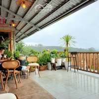 Hạ Tiếp 8 Tỷ. Bán Khu Nhà Hàng Cafe Vạn Thành, Phường 5, Đà Lạt View Rất Đẹp