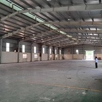 Cần Cho Thuê Kho Xưởng Tại Khu Vực Hải Phòngdiện Tíchtừ 1000M2 Đến 5000M2