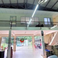 Bán Nhà Xưởngdiện Tích1176M2 Đường Nhị Bình