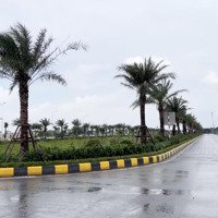 Chuyển Nhượng 5000M2-1Ha-20 Ha Đất Trong Kcn Thuận Thành, Bắc Ninh. Pháp Lý Đầy Đủ. Bàn Giao Ngay