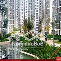 Bán Nhanh Căn Hộ Xanh City Đường Lê Trong Tấn Q.tân Phú, 1Pn 1 Vệ Sinh 50M2, 1.9Tỷ, Sở Hữu Lâu Dài.