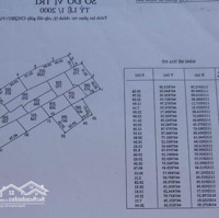 Hàng Cực Hiếm. 12000M2 Đất Lúa Phủ Hồng Tại Thị Trấn Biển Phước Hải. Giá Đầu Tư Chỉ 900K/M2