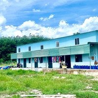 Chính Chủ Cần Bán Gấp 300M2 Đất Tại Thị Trấn Dầu Tiếng Bình Dương