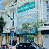 Siêu Phẩm 60,6M2 Mặt Chợ Như Quỳnh Center Kinh Doanh Siêu Đỉnh Luôn, Giá Rẻ Nhất Khu Có 102