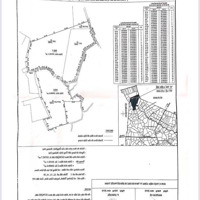 Bán Lô Đất Đỏ Bazan 80.000M2 Mặt Tiền Container Quảng Thành, Bà Rịa Vũng Tàu