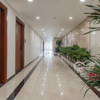 Tôi Có Căn Góc Á Hậu 61M2 Tầng 18 Hướng Đn Trust City Tìm Chủ Nhân