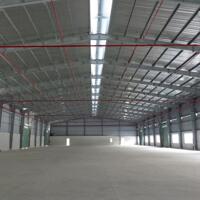 cho thuê kho xưởng 8000m2 huyên cần giuộc