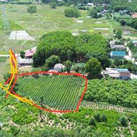 1,8 Tỷ Có Lô Đất View Thoáng Sổ Đỏ Có 1100M Thổ Cư Tại Thanh Thuỷ