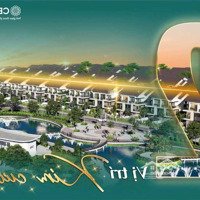 Cơ Hội Sở Hữu Biệt Thự View Công Viên Hồ Đẹp Hiếm Nhất Centa Rvs Từ Sơn Giá Gốc Chủ Đầu Tư