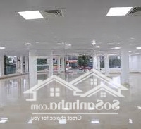 Cho Thuê Nhà Mặt Phố Quang Trung Tổng Diện Tích 1000M2 Tòa Nhà 7 Tầng Có Thang Máy Giá Chỉ 80 Triệu