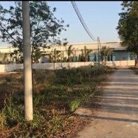 Cho Thuê Kho Xưởng Khuôn Viên 16.000M2.Xưởng 8000M2.Tiếp Gỗ,Viên Nén,Mùn Cưa.xuân Lộc ,Đồng Nai