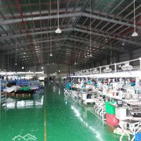 Kho Xưởng Kcn Tân Dân, 3000-25.000M2, Pccc Tiêu Chuẩn, Kho Mới, Khuôn Viên Độc Lập, 60Nghìn/M2/Th