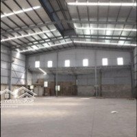 Cho Thuê 600-2800M2 Kho - Mới Cầu Tó - Kim Giang Khung Zamil Cao 11M Pháp Lý Chuẩn, Vat, Pccc, Cont