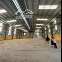 Cho Thuê 600-2800M2 Kho - Mới Cầu Tó - Kim Giang Khung Zamil Cao 11M Pháp Lý Chuẩn, Vat, Pccc, Cont