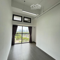 Tiện Ích Miễn Phí Khi Thuê Căn Studio 37M2 - Giá Cực Sốc 9 Triệu/Tháng - Có Ban Công Rộng Để Trồng Cây