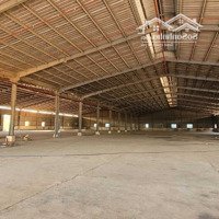 Cho Thuê Xưởng 6000M2 Cụm Cn Phước An Có Pccc Tự Động