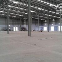 Cho Thuê Mặt Bằng 600M2 Mặt Tiền Phan Chu Trinh