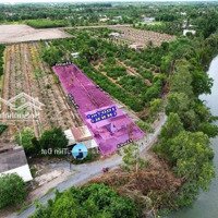 Bán Đất View Sông Nghĩ Dưỡng Diện Tích: 1000M2 Shr Giá Bán 860 Triệu Đường Xehơi Vô Tới Đất Thích Hợp Cuối Tuần Chill