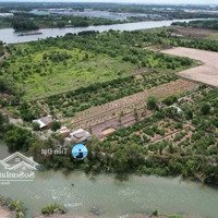 Bán Đất View Sông Nghĩ Dưỡng Diện Tích: 1000M2 Shr Giá Bán 860 Triệu Đường Xehơi Vô Tới Đất Thích Hợp Cuối Tuần Chill