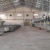 Xưởng wash bán hoặc cho thuê 4900m2 (TDT gần 1ha) KCN Trảng Bàng