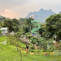 Cần Chuyển Nhượng Khu Retreat Nghỉ Dưỡng Trong Lòng Tp Hoà Bình, 10,527M2, 14 Tỷ