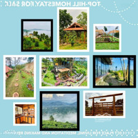 Chuyển Nhượng Homestay Nghỉ Dưỡng Tâm Huyết,Diện Tíchđất Hơn 2000M2, View Đẹp, Có Nhà, Sổ Hồng Sẵn