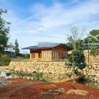 Cần Bán Gấp Farmstay View Đẹp Tại Xã Xuân Thọ, Đà Lạt 9000M2 Thích Hợp Kd Farmstay Hoặc Camping