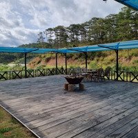 Cần Bán Gấp Farmstay View Đẹp Tại Xã Xuân Thọ, Đà Lạt 9000M2 Thích Hợp Kd Farmstay Hoặc Camping